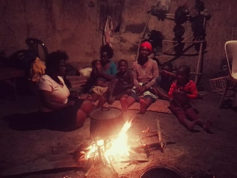 Rinascere dalle ceneri