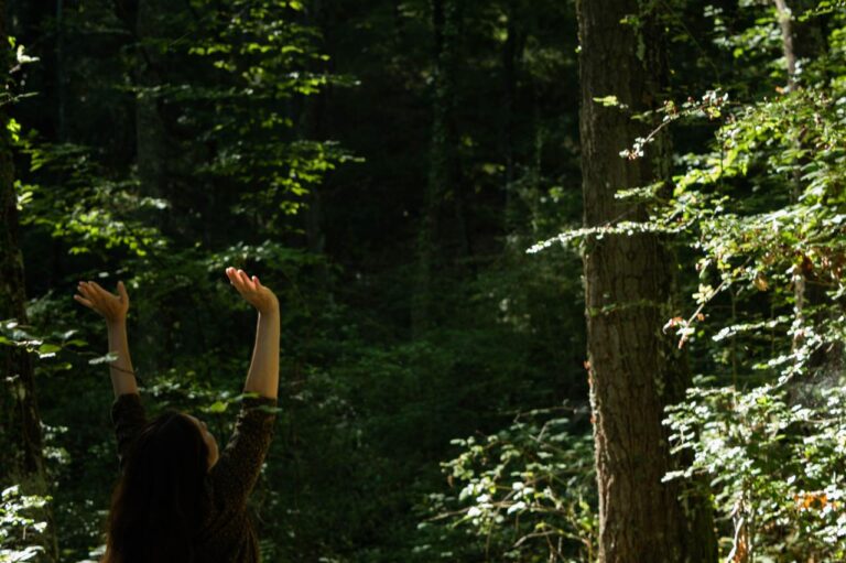 Al cuore non si comanda